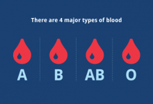 أنواع فصائل الدم ، ومميزات كل منهم