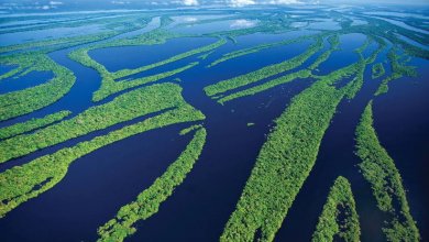 معلومات وعجائب عن نهر الأمازون