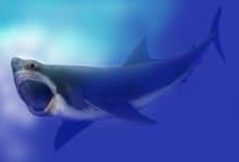 حقائق حول "ميجالودون" أضخم أنواع أسماك القرش المنقرضة