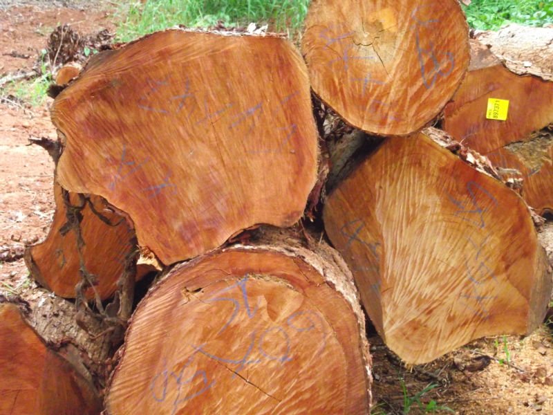 الخشب المستخدم في صناعة الأثاث