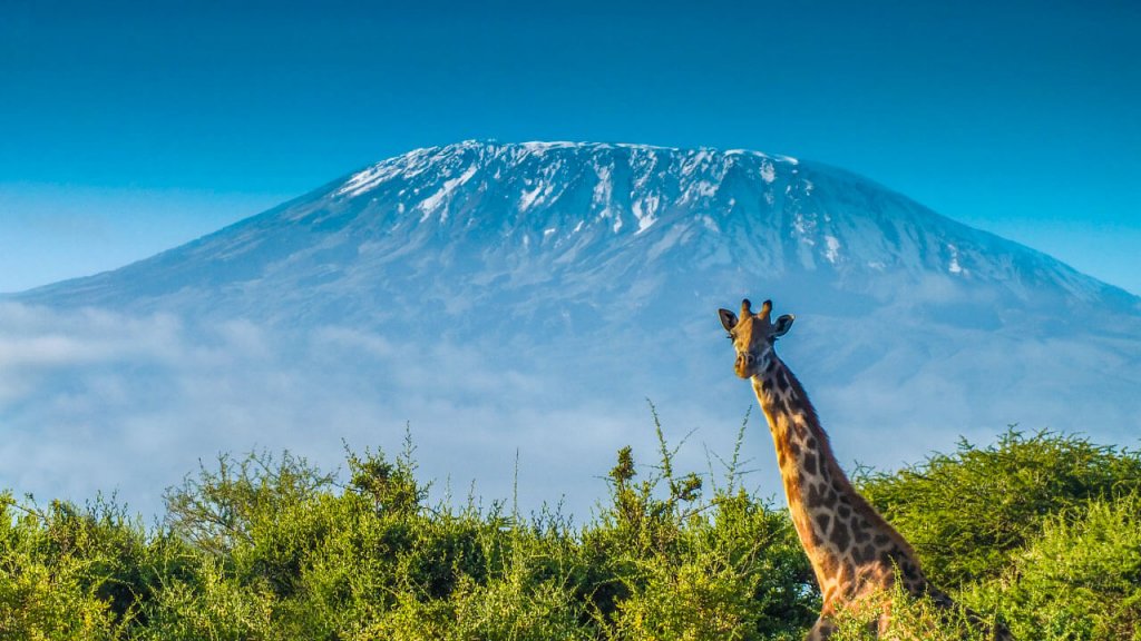   أعلى القمم الجبلية في العالم Mount-Kilimanjaro-1024x576
