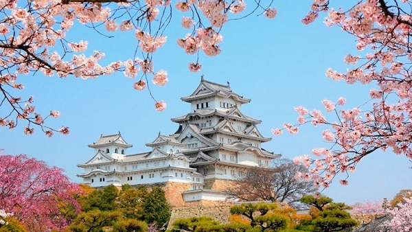 قلعة هيميجي