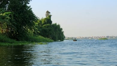 موت نهر النيل