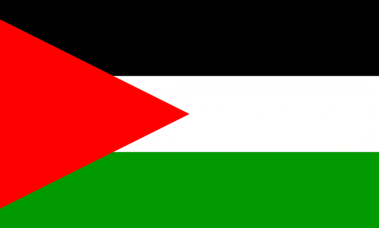 أسئلة عن فلسطين