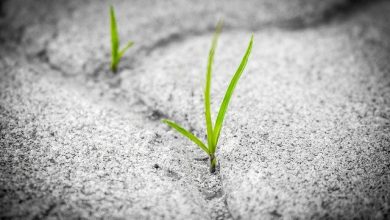 خواطر عن الأمل بالله