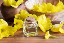 لماذا يستخدم evening primrose oil