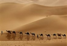 أصل قبيلة الذيابي وش يرجع