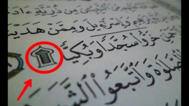 السجده في القرآن هل هي واجبة