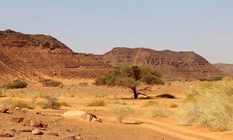 الوادي الذي يمتد من مدينه عمان حتى الجوف