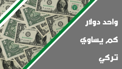 واحد دولار كم يساوي تركي