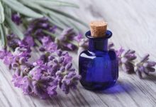 تجربتي مع الخزامى للشعر