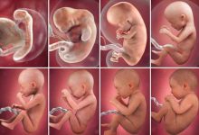 تفسير حلم رؤية الجنين