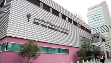 تخصصات جامعة نيويورك في ابوظبي