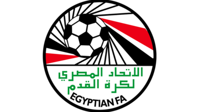 كم عدد جولات الدوري المصري ذهاباً وإياباً.