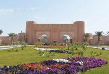 نسب القبول في جامعة الملك فيصل 1444