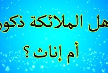 اسئلة واجوبة عن الملائكة