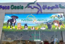افضل محلات الحيوانات في الرياض