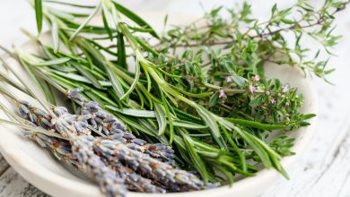 طريقة استخدام الأعشاب لعلاج التهاب المسالك البولية وهل ذلك مثبت علمياً